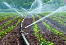 Micro-irrigation