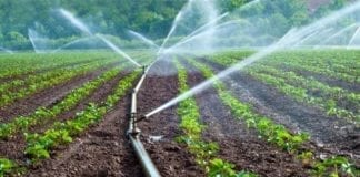 Micro-irrigation